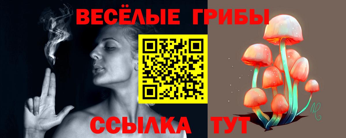 Псилоцибиновые грибы MAGIC MUSHROOMS  Псилоцибиновые грибы Psilocybe  хочу наркоту  Вход с VPN  Асино 