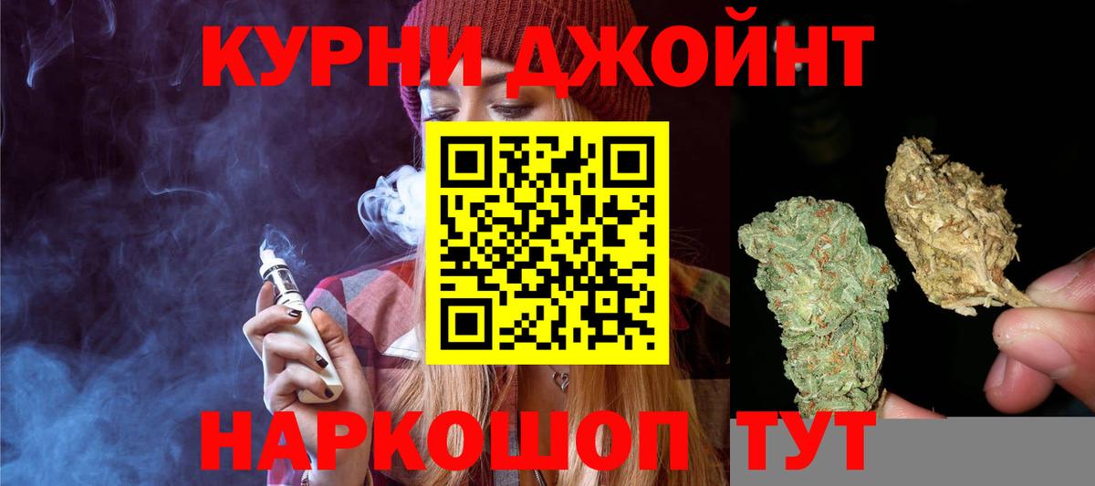 Бошки Шишки план Асино